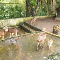 Guests on a Mauritius catamaran day trip